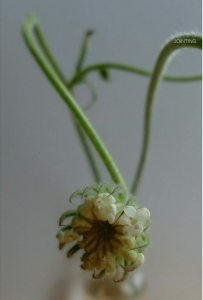 从绿捷校园午餐的臭虾一窥新希望ESG的希望