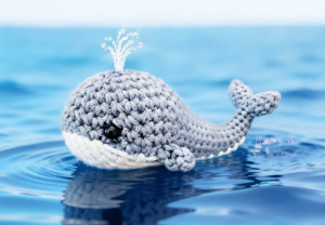 欢乐的章鱼家族（5）｜鲸落