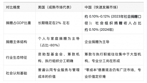 陈行甲的73万年薪，量出了中国公益的专业化温差