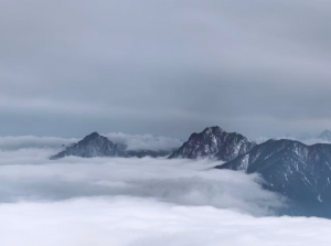 智力资本的重构:AI时代HR的认知跃迁——从“成本精算师”到“能力架构师” 智力资本的重构:AI时代HR的认知跃迁——从“成本精算师”到“能力架构师”