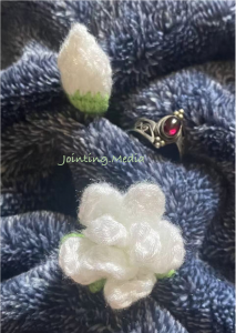 记者的背影：魏华离世两天后，梅姨落网