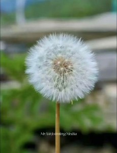 “消字号”的非法添加是行业潜规则，为何处罚那么轻