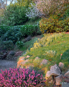 CCT｜从“大锅饭”到“分灶吃饭”：胖东来实验与治理文明的跃迁——一场关于“激励相容”的组织实验及其启示