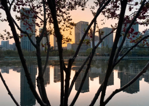 关于调查记者职业风险与保护机制的建议——以魏华之殇为镜鉴