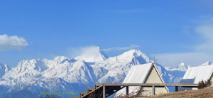 当违法成为一门精确计算的生意——食品安全的博弈真相