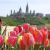 Canadian Tulip Festival