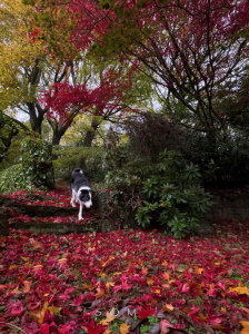 AI ask, I answer |  Singlehood: An Alternative Way of Life